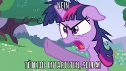 Size: 992x558 | Tagged: safe, edit, edited screencap, screencap, twilight sparkle, g4, lesson zero, caption, german, image macro, text, this will end in death