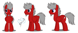 Size: 1707x718 | Tagged: safe, artist:flash equestria photography, oc, oc only, oc:cloud weaver, pegasus, pony, cutie mark, male, reference sheet, show accurate, solo