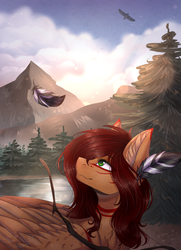 Size: 2279x3146 | Tagged: safe, artist:shadow-nights, oc, oc only, pegasus, pony, chest fluff, ear fluff, face paint, feather, feather in hair, female, high res, mare, mountain, signature