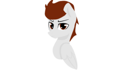 Size: 1024x597 | Tagged: safe, artist:lietiejackson, oc, oc only, oc:heartshot, pegasus, pony, angry, half body, looking at you, male, stallion