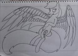 Size: 1272x918 | Tagged: safe, artist:shadow-nights, rainbow dash, pegasus, pony, g4, female, flying, graph paper, lineart, mare, paper, simple background, solo, spread wings, traditional art, white background, wings, wip