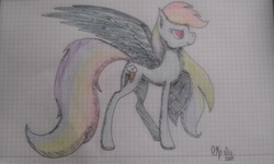Size: 3200x1920 | Tagged: safe, artist:shadow-nights, rainbow dash, pegasus, pony, g4, female, graph paper, high res, looking up, mare, paper, signature, simple background, solo, spread wings, traditional art, white background, wings