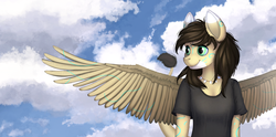 Size: 4033x2000 | Tagged: artist needed, safe, oc, oc only, oc:rune, pegasus, anthro, cloud, cloudy, day, female, mare, sky, spread wings, wings