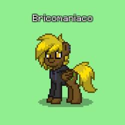 Size: 640x640 | Tagged: safe, oc, oc only, oc:bricomaniaco, pegasus, pony, pony town, clothes, hoodie, male