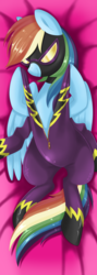 Size: 1024x2882 | Tagged: safe, artist:okapifeathers, rainbow dash, pegasus, pony, g4, body pillow, body pillow design, clothes, costume, female, mare, shadowbolts costume, smiling, solo, uniform
