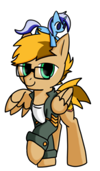Size: 700x1200 | Tagged: safe, artist:lucky dragon, derpibooru exclusive, minuette, oc, oc only, oc:bump sign, pegasus, pony, 2019 community collab, derpibooru community collaboration, clothes, glasses, jacket, male, plushie, simple background, solo, stallion, transparent background