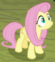 Size: 114x128 | Tagged: safe, edit, edited screencap, screencap, fluttershy, pegasus, pony, g4, the mean 6, animated, caption, cropped, female, gif, gif for breezies, gif with captions, picture for breezies, reaction image, solo, what just happened
