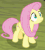 Size: 114x128 | Tagged: safe, edit, edited screencap, screencap, fluttershy, pegasus, pony, g4, the mean 6, animated, caption, cropped, female, gif, gif for breezies, gif with captions, picture for breezies, reaction image, solo, what just happened