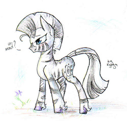 Size: 700x669 | Tagged: safe, artist:hilloty, zecora, pony, g4, female, solo, traditional art