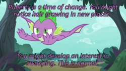 Size: 640x360 | Tagged: safe, edit, edited screencap, screencap, spike, dragon, g4, molt down, caption, cards against humanity, flying, image macro, text, winged spike, wings