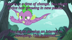 Size: 640x360 | Tagged: safe, edit, edited screencap, screencap, spike, dragon, g4, molt down, my little pony: friendship is magic, caption, cards against humanity, flying, image macro, text, winged spike, wings