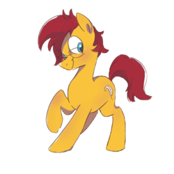 Size: 720x720 | Tagged: safe, oc, oc only, earth pony, pony, :t, aside glance, glasses, male, raised hoof, simple background, smiling, solo, stallion, transparent background