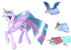 Size: 1744x1218 | Tagged: safe, artist:shadow-nights, twilight sparkle, alicorn, pony, do princesses dream of magic sheep, g4, book, bookbat, bookslug, colored pencil drawing, female, flying books, mare, monster book, newbie artist training grounds, older, older twilight, paper, signature, simple background, solo, traditional art, twilight sparkle (alicorn), white background