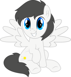 Size: 4882x5307 | Tagged: safe, artist:cyanlightning, oc, oc only, oc:wing sparkle, pegasus, pony, 2019 community collab, derpibooru community collaboration, .svg available, absurd resolution, ear fluff, male, raised hoof, simple background, solo, spread wings, stallion, transparent background, vector, wings
