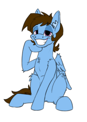 Size: 1500x2095 | Tagged: safe, artist:skydiggitydive, oc, oc only, oc:sky dive, pegasus, pony, 2019 community collab, derpibooru community collaboration, fluffy, male, simple background, sitting, solo, transparent background
