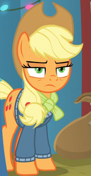 Size: 432x835 | Tagged: safe, screencap, applejack, earth pony, pony, g4, my little pony best gift ever, applejack is not amused, cropped, female, solo, unamused