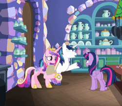 Size: 633x552 | Tagged: safe, screencap, princess cadance, shining armor, twilight sparkle, alicorn, pony, g4, my little pony best gift ever, animated, cracked armor, derp, gif, kitchen, sisters-in-law, twilight sparkle (alicorn), twilynanas