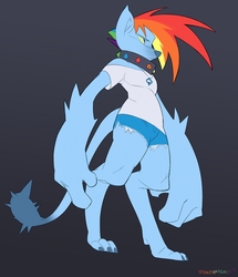 Size: 879x1024 | Tagged: source needed, safe, artist:stealthnacho, rainbow dash, diamond dog, g4, clothes, collar, diamond dogified, exposed shoulders, female, female diamond dog, jewelry, multicolored hair, necklace, rainbow dog, shirt, shorts, simple background, solo, species swap, spiked tail, standing