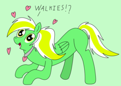 Size: 3672x2600 | Tagged: safe, artist:cocacola1012, oc, oc:gumdrops, pegasus, pony, collar, heart eyes, high res, wingding eyes