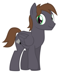 Size: 1280x1543 | Tagged: safe, artist:the smiling pony, oc, oc only, oc:wingbeat, pegasus, pony, 2019 community collab, derpibooru community collaboration, g4, male, simple background, smiling, solo, stallion, transparent background, vector