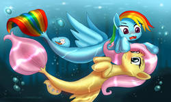 Size: 1600x960 | Tagged: safe, artist:alexmakovsky, fluttershy, rainbow dash, pegasus, pony, seapony (g4), g4, blushing, boop, bubble, cute, female, lesbian, mare, open mouth, seaponified, seapony fluttershy, seapony rainbow dash, ship:flutterdash, shipping, species swap, underwater, upside down, water