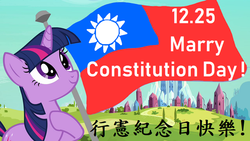 Size: 768x432 | Tagged: safe, edit, edited screencap, screencap, twilight sparkle, g4, constitution day, flag, flag of the republic of china, misspelling, taiwan