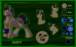 Size: 1024x639 | Tagged: safe, artist:littletigressda, oc, oc only, oc:dusty, pony, fallout equestria, reference sheet, solo