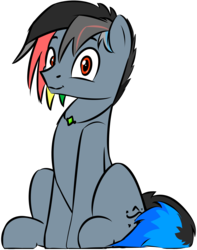 Size: 3504x4452 | Tagged: safe, artist:topicranger, oc, oc only, oc:topic, earth pony, pony, 2019 community collab, derpibooru community collaboration, jewelry, looking at you, male, necklace, rainbow hair, simple background, sitting, smiling, solo, stallion, transparent background