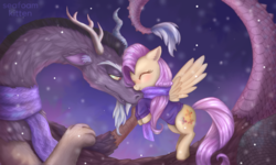 Size: 2080x1245 | Tagged: safe, artist:seafoamkitten, discord, fluttershy, draconequus, pony, g4, blushing, bottomless, clothes, cuddling, cute, discute, ear fluff, eyes closed, female, male, partial nudity, scarf, ship:discoshy, shipping, shyabetes, snow, snowfall, straight, sweater, sweatershy, winter