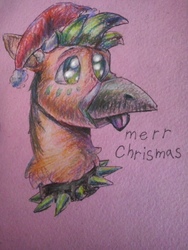 Size: 1115x1486 | Tagged: safe, artist:ralek, oc, oc only, oc:ralek, griffon, :p, :t, bust, cheek fluff, christmas, collar, eye shimmer, hat, head, holiday, it chrismas, merry christmas, misspelling, neck fluff, santa hat, silly, solo, spiked collar, tongue out, traditional art