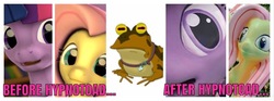 Size: 1200x444 | Tagged: safe, fluttershy, twilight sparkle, g4, 3d, before and after, futurama, hypnotoad, male, meme