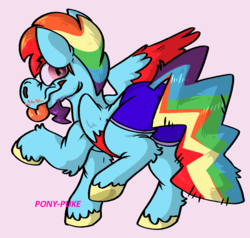 Size: 1040x988 | Tagged: safe, artist:pony-puke, rainbow dash, pegasus, pony, g4, clothes, facial hair, five o'clock shadow, looking at you, looking back, looking back at you, male, mare, moustache, rainbow blitz, rule 63, shorts, simple background, solo, stallion, tongue out