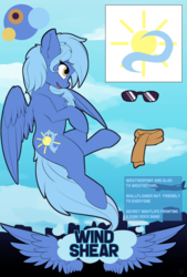 Size: 3872x5728 | Tagged: safe, artist:beardie, oc, oc only, oc:wind shear, pegasus, pony, clothes, female, flying, mare, reference sheet, skyline, solo