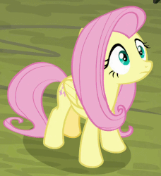 Size: 616x676 | Tagged: safe, edit, edited screencap, screencap, fluttershy, pegasus, pony, season 8, the mean 6, spoiler:s08, animated, blinking, caption, confluttershy, confused, cropped, discombobulated, female, fourth wall, gif, gif with captions, impact font, meme, reaction image, solo, what just happened