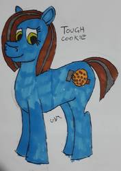 Size: 868x1228 | Tagged: safe, artist:rapidsnap, oc, oc only, oc:tough cookie, earth pony, pony, female, mare, solo, traditional art
