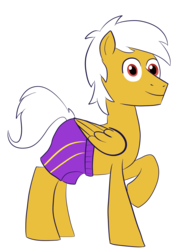 Size: 1176x1684 | Tagged: safe, artist:feralroku, oc, oc only, oc:inesco, pegasus, pony, 2019 community collab, derpibooru community collaboration, folded wings, raised hoof, simple background, solo, swimming trunks, transparent background, wings