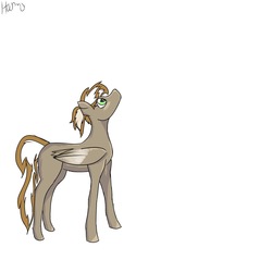 Size: 1000x1000 | Tagged: safe, artist:harmacist, oc, oc only, oc:north winds, pony, solo