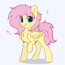 Size: 1024x1024 | Tagged: safe, artist:kebchach, fluttershy, pegasus, pony, g4, :t, alternate hairstyle, blushing, chest fluff, cute, ear fluff, female, fluffy, folded wings, heart, leg fluff, looking at you, mare, messy mane, missing cutie mark, raised hoof, shyabetes, simple background, smiling, solo, standing, three quarter view, white background, wing fluff, wings