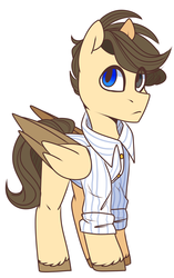 Size: 1208x1920 | Tagged: safe, artist:lolitaanxietydisorder, oc, oc only, oc:meteor flash, pegasus, pony, solo