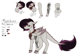 Size: 2572x1796 | Tagged: safe, artist:sweetmelon556, oc, oc only, oc:moon scale, pegasus, pony, male, reference sheet, simple background, solo, stallion, tattoo, transparent background
