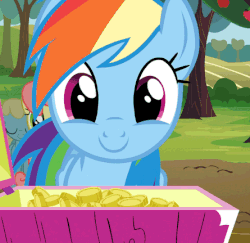 Size: 445x432 | Tagged: safe, artist:dtkraus, edit, edited edit, edited screencap, screencap, fluttershy, rainbow dash, pegasus, pony, g4, the super speedy cider squeezy 6000, animated, background pony, bits, c:, cute, dashabetes, eating, female, gif, mare, nom, open mouth, reversed, smiling, solo focus, this will end in pain, this will end in tears, wat