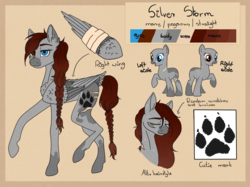 Size: 1000x747 | Tagged: safe, artist:clarissa0210, oc, oc only, oc:silver storm, pegasus, pony, female, mare, reference sheet, scar, solo