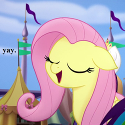 Size: 429x429 | Tagged: safe, edit, edited screencap, editor:korora, screencap, fluttershy, rainbow dash, rarity, pegasus, pony, g4, my little pony: the movie, canterlot, cropped, cute, eyes closed, female, floppy ears, mare, pennant, reaction image, shyabetes, solo focus, yay