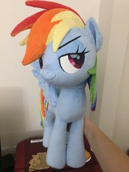 Size: 1536x2048 | Tagged: safe, artist:nazegoreng, rainbow dash, pegasus, pony, g4, faic, female, grin, irl, lidded eyes, mare, photo, plushie, smiling, smug, smugdash, solo, spread wings, wings