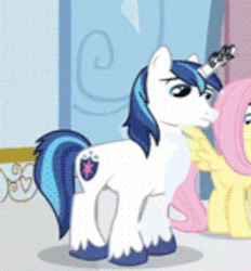 Size: 341x368 | Tagged: safe, screencap, fluttershy, shining armor, crystal pony, g4, the crystal empire, animated, cropped, crystal empire, crystallized, gif, transformation