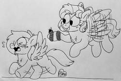 Size: 1024x683 | Tagged: safe, artist:sandwichbuns, oc, oc only, oc:gale wings, oc:ladybird, centipede, pegasus, pony, female, filly, magical lesbian spawn, monochrome, offspring, parent:fluttershy, parent:rainbow dash, parents:flutterdash