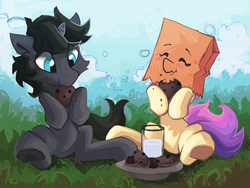 Size: 2824x2123 | Tagged: safe, artist:saxopi, oc, oc only, oc:paper bag, oc:pi, earth pony, pony, unicorn, blushing, cloud, cookie, cup, cute, eating, eyes closed, female, food, grass, high res, male, mare, milk, paper bag, sky, stallion