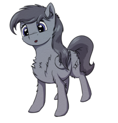 Size: 1024x1071 | Tagged: safe, artist:shaliwolf, oc, oc only, unnamed oc, pony, simple background, solo, transparent background