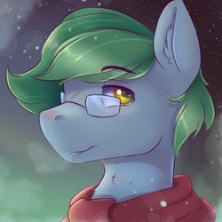 Size: 1800x1800 | Tagged: safe, artist:ardail, oc, oc only, oc:software patch, pony, clothes, glasses, icon, male, scarf, snow, snowfall, solo, stallion