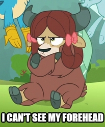 Size: 331x401 | Tagged: safe, edit, edited screencap, screencap, gallus, ocellus, yona, changedling, changeling, griffon, yak, g4, school raze, bow, caption, cloven hooves, cropped, crossed hooves, cute, grumpy, hair bow, i can't see my forehead, image macro, madorable, meme, monkey swings, patty hype, sitting, solo focus, spongebob squarepants, text, yonadorable